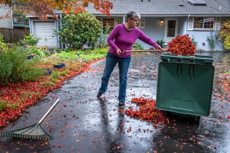 Clean Up of Fallen Leaves