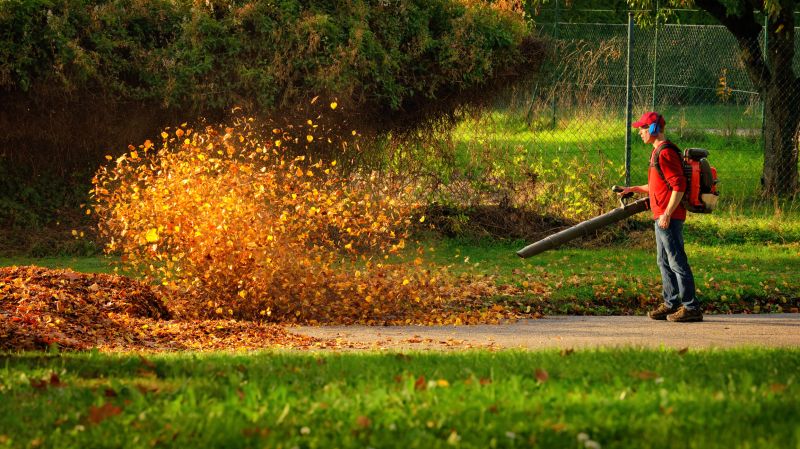 Seasonal Leaf Removal