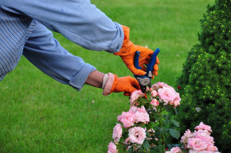 Rose Bush Removal Cost — Cost of Rose Bush Removal