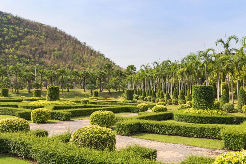 Landscape with Shaped Shrubs